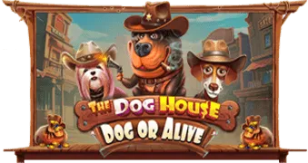The Dog House – Dog or Alive — обложка игры Pragmatic Play